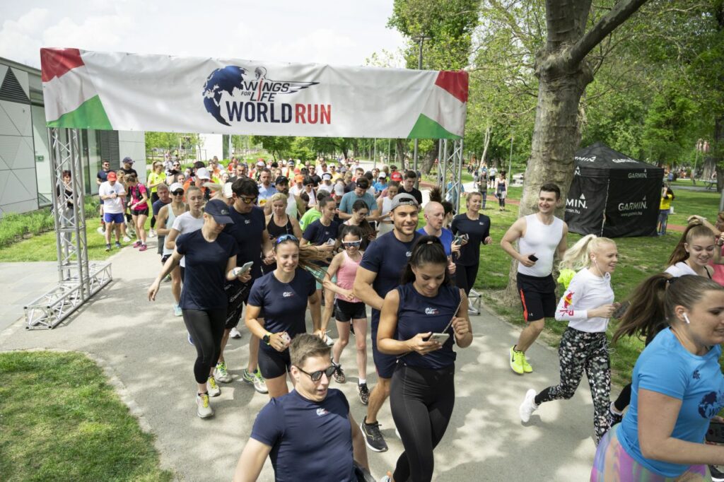 Wings for Life World Run 