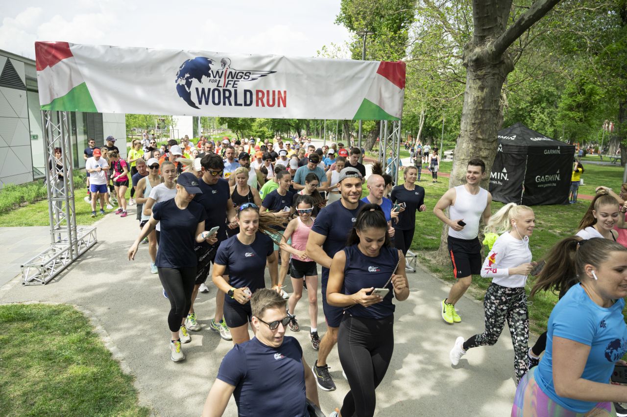 Wings for Life World Run