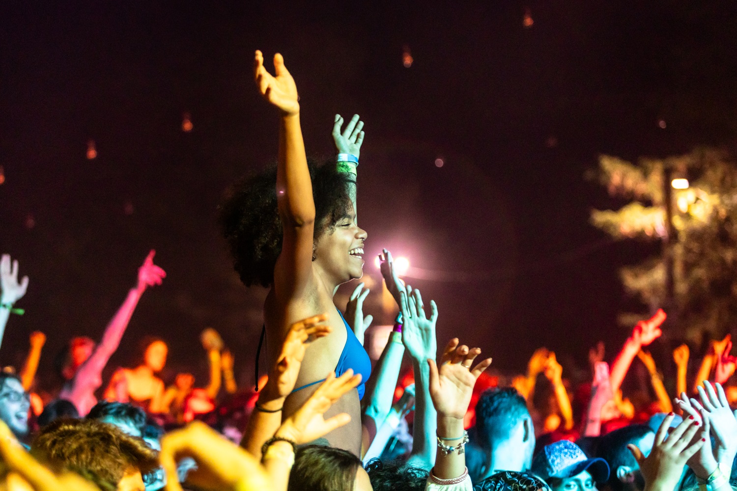 Művészetek Völgye