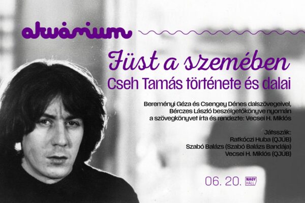 Cseh Tamás