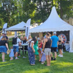 Ambrózia_1 Dunaőjváros