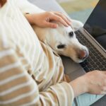 tavmunka biztonság 02